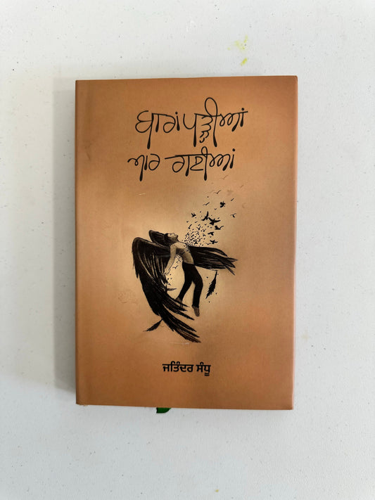 12 Padhia Maar Gayia - Jatinder Sandhu - Punjabi Books - Barha Padhiya Maar Gyia