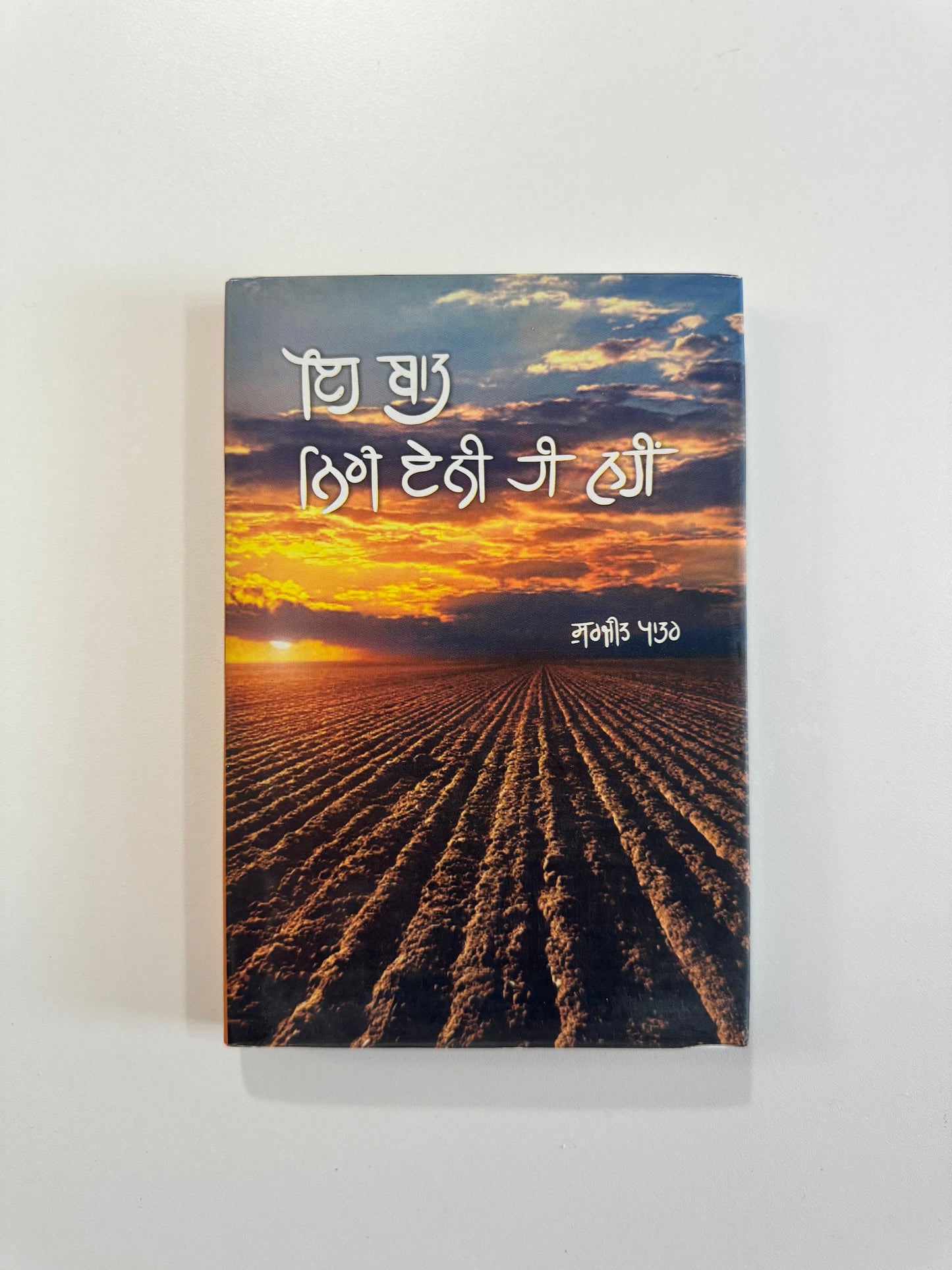 Aeh Baat Niri Ainni Hi Nahi - Surjit Patar - Punjabi Books - Ae Baat Niru Aini Hi Ni